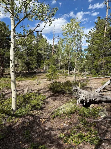 $459,000 | 850 Lupine Place, Black Hawk, CO 80422