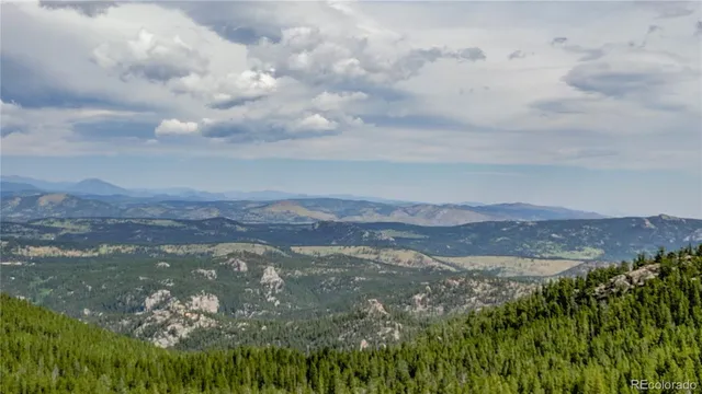 a view of a forest with a lush green forest