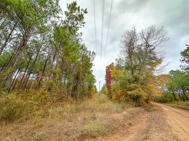 $85,559 | 0 County Road 1651, Avinger, TX 75630