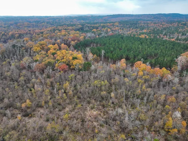 $85,559 | 0 County Road 1651, Avinger, TX 75630