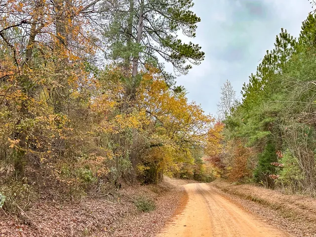 $85,559 | 0 County Road 1651, Avinger, TX 75630