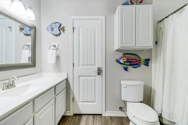 a bathroom with a sink toilet and vanity