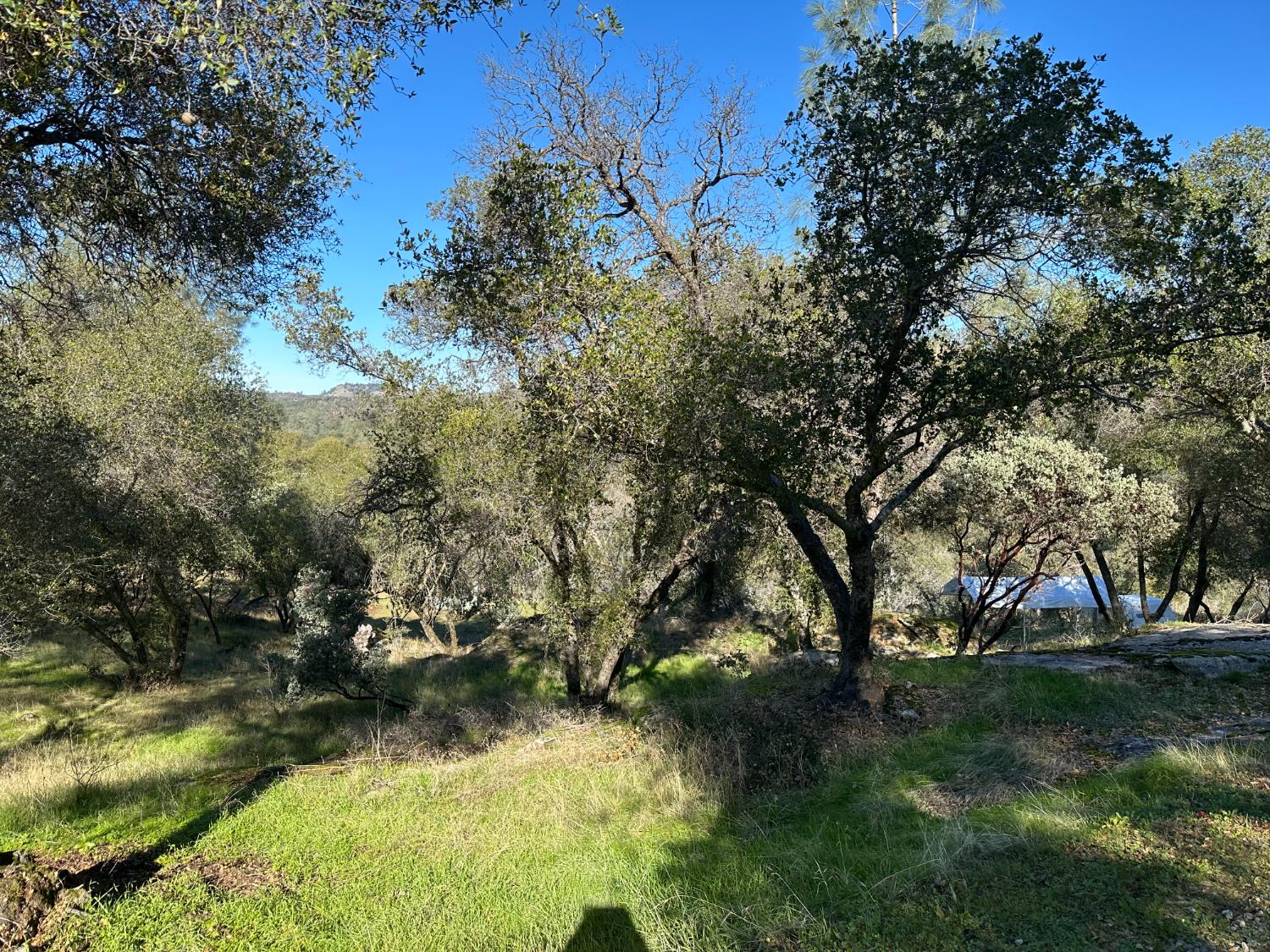 46725 Picayune Creek Road Coarsegold, CA 93614 - Photo 28 of 49 a view of lake from yard