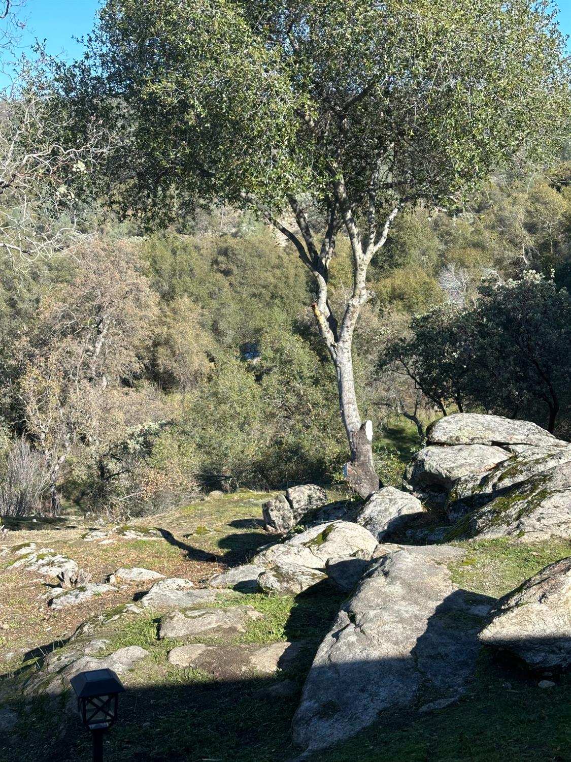 46725 Picayune Creek Road Coarsegold, CA 93614 - Photo 30 of 49 a view of swimming pool from a yard