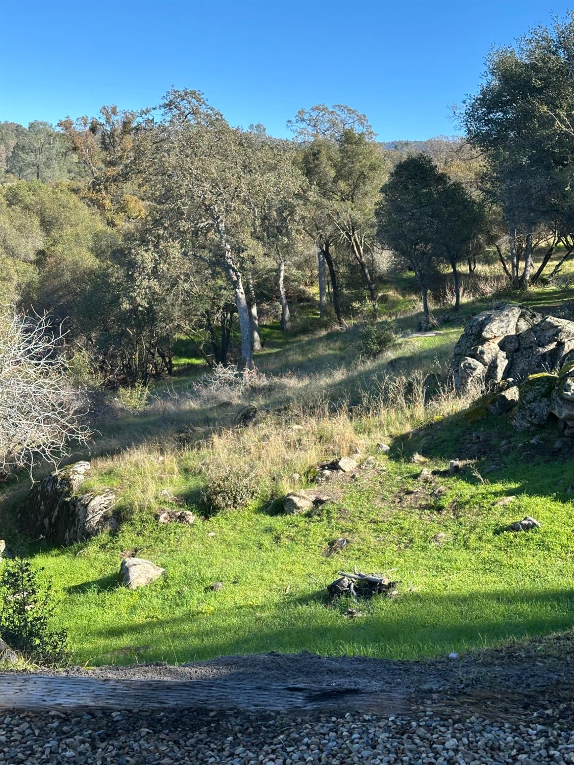 46725 Picayune Creek Road Coarsegold, CA 93614 - Photo 32 of 49 a view of swimming pool with a yard