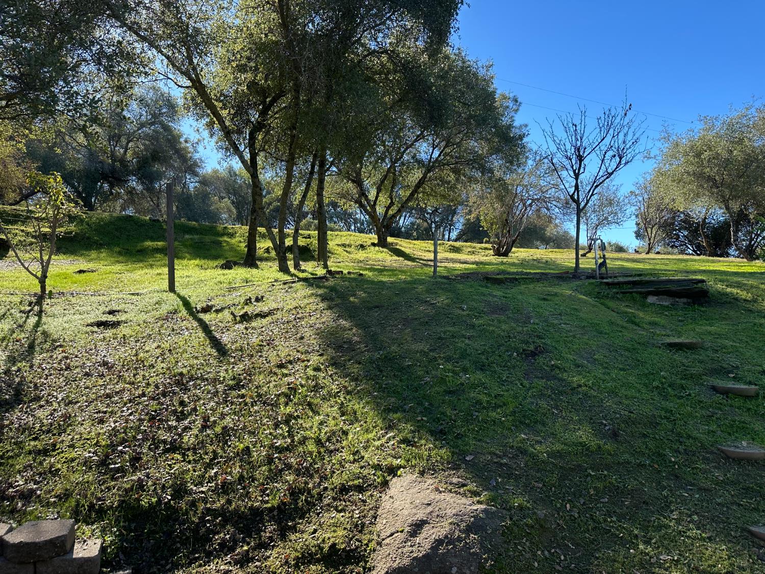 46725 Picayune Creek Road Coarsegold, CA 93614 - Photo 34 of 49 a view of backyard with tree