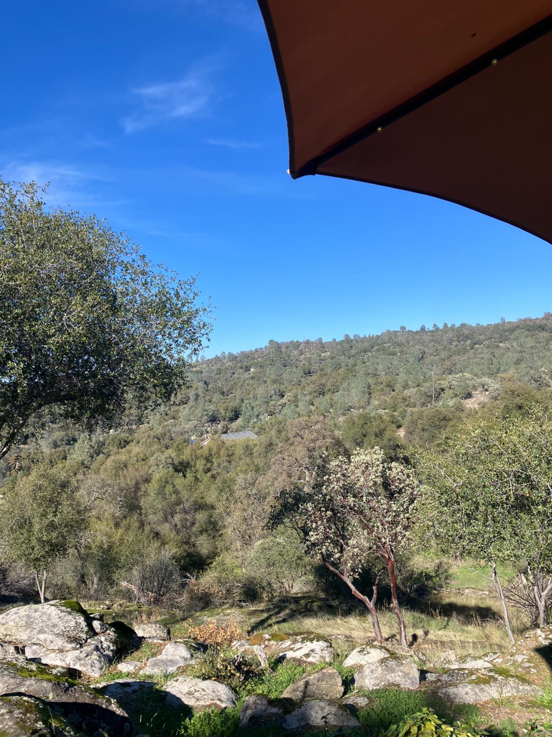 46725 Picayune Creek Road Coarsegold, CA 93614 - Photo 35 of 49 a view of a yard with an outdoor space