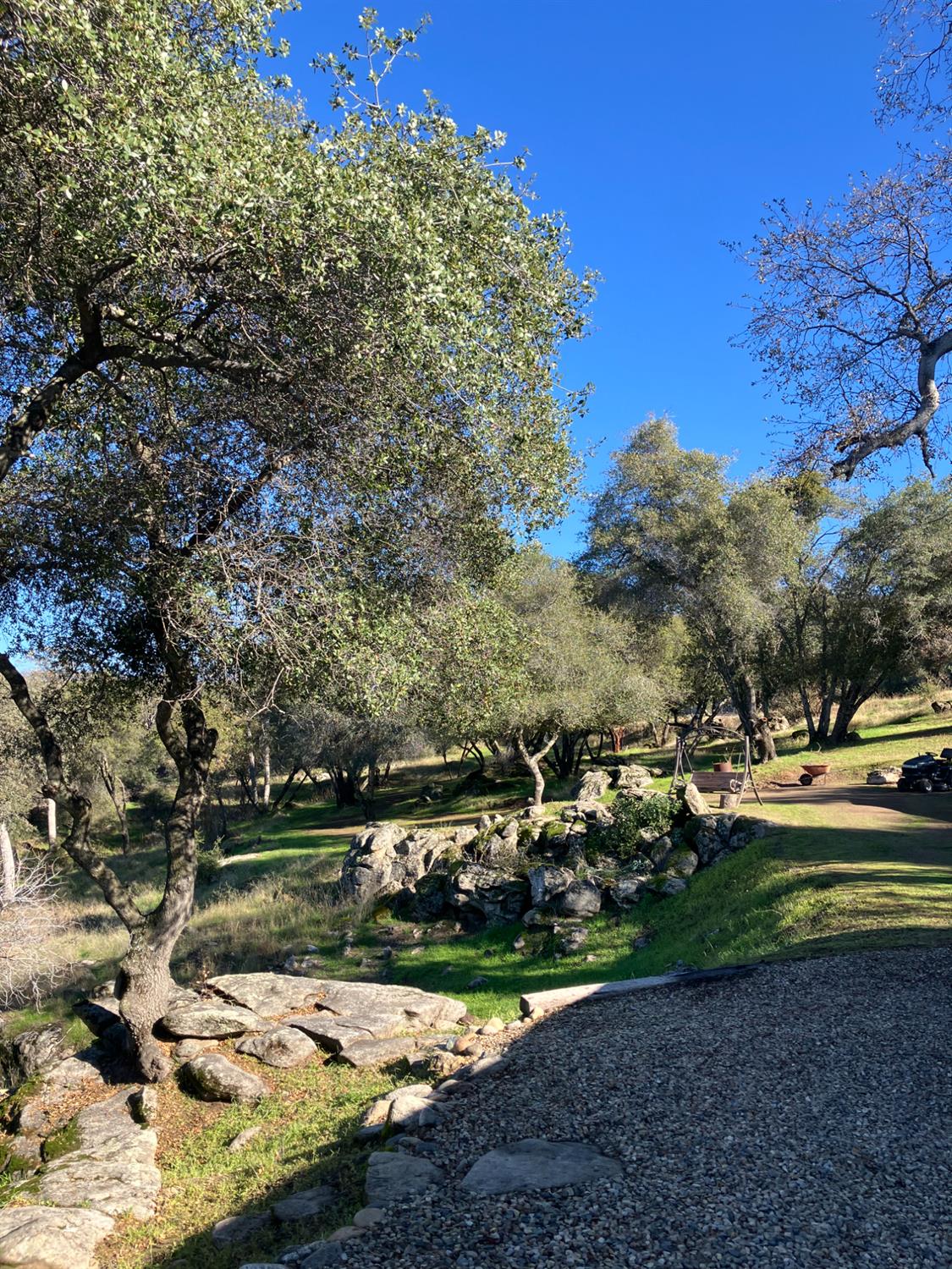 46725 Picayune Creek Road Coarsegold, CA 93614 - Photo 36 of 49 a view of a park with large trees