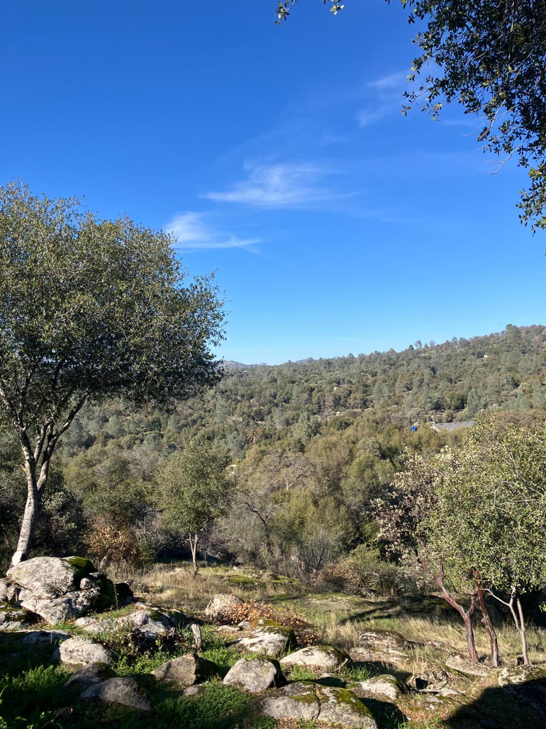 46725 Picayune Creek Road Coarsegold, CA 93614 - Photo 37 of 49 a view of a city