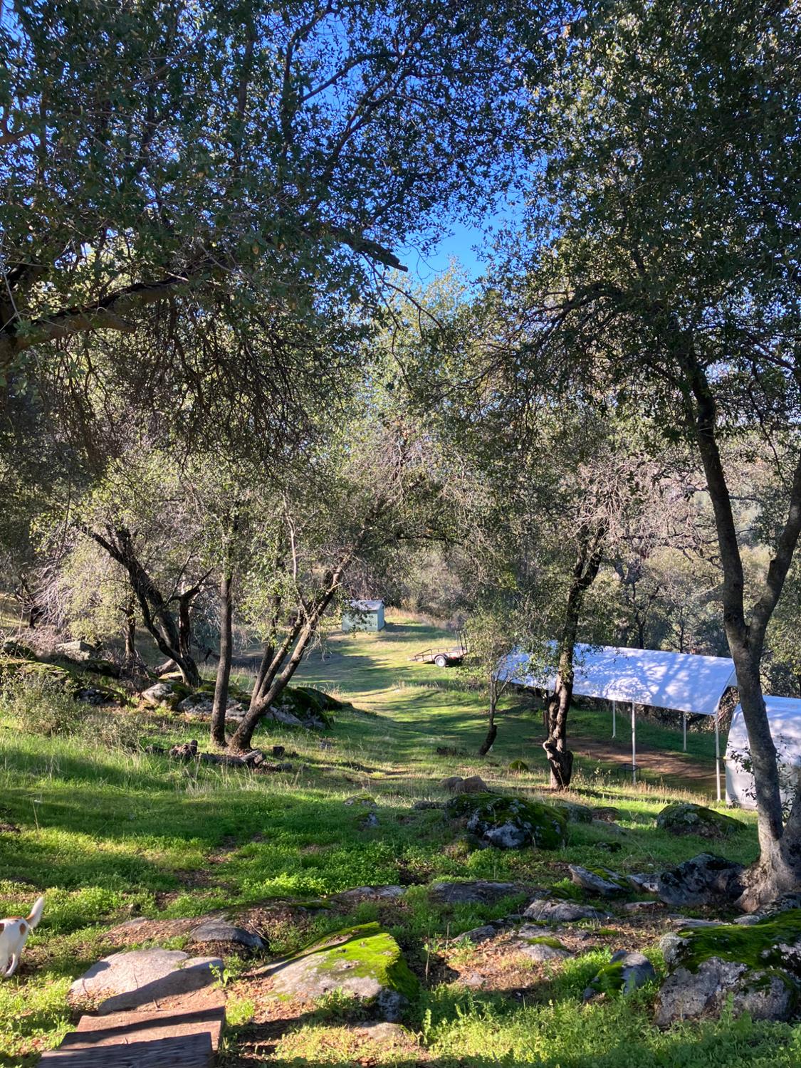 46725 Picayune Creek Road Coarsegold, CA 93614 - Photo 39 of 49 a backyard of a house with a yard and outdoor seating