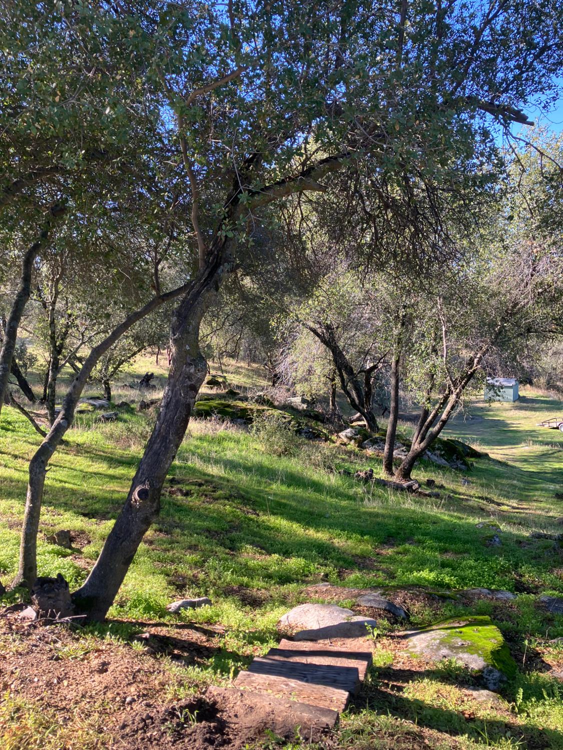 46725 Picayune Creek Road Coarsegold, CA 93614 - Photo 40 of 49 a backyard of a house with a yard and outdoor seating