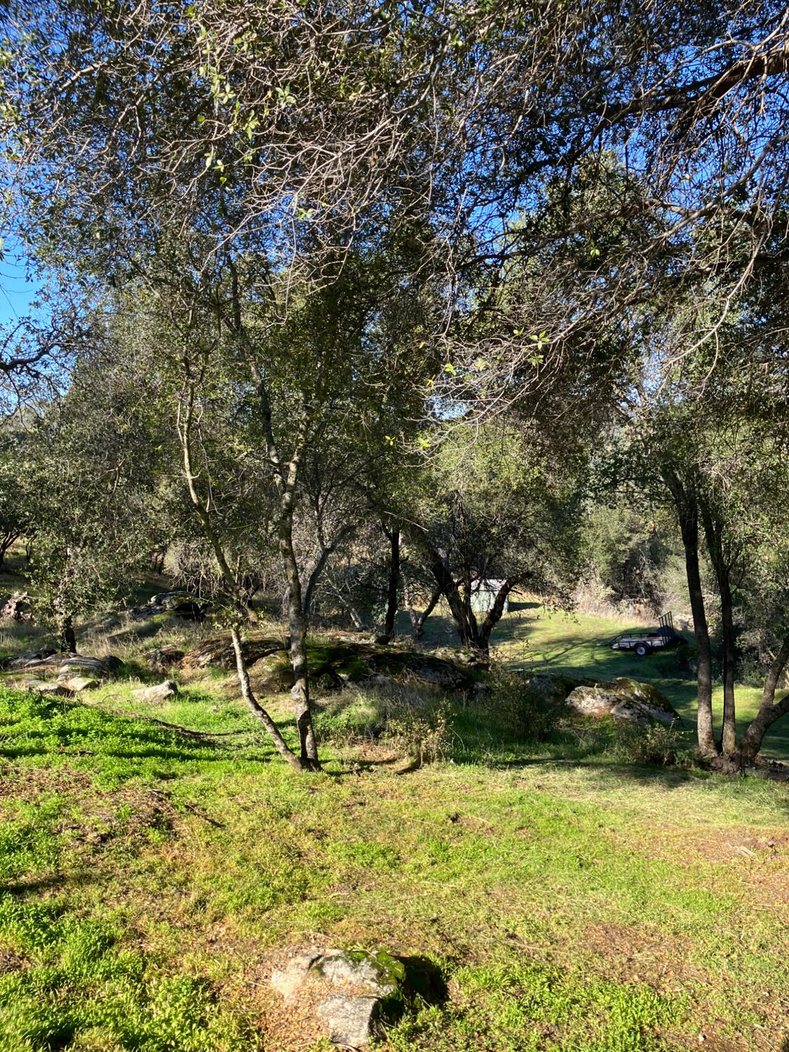 46725 Picayune Creek Road Coarsegold, CA 93614 - Photo 43 of 49 a view of yard with green space