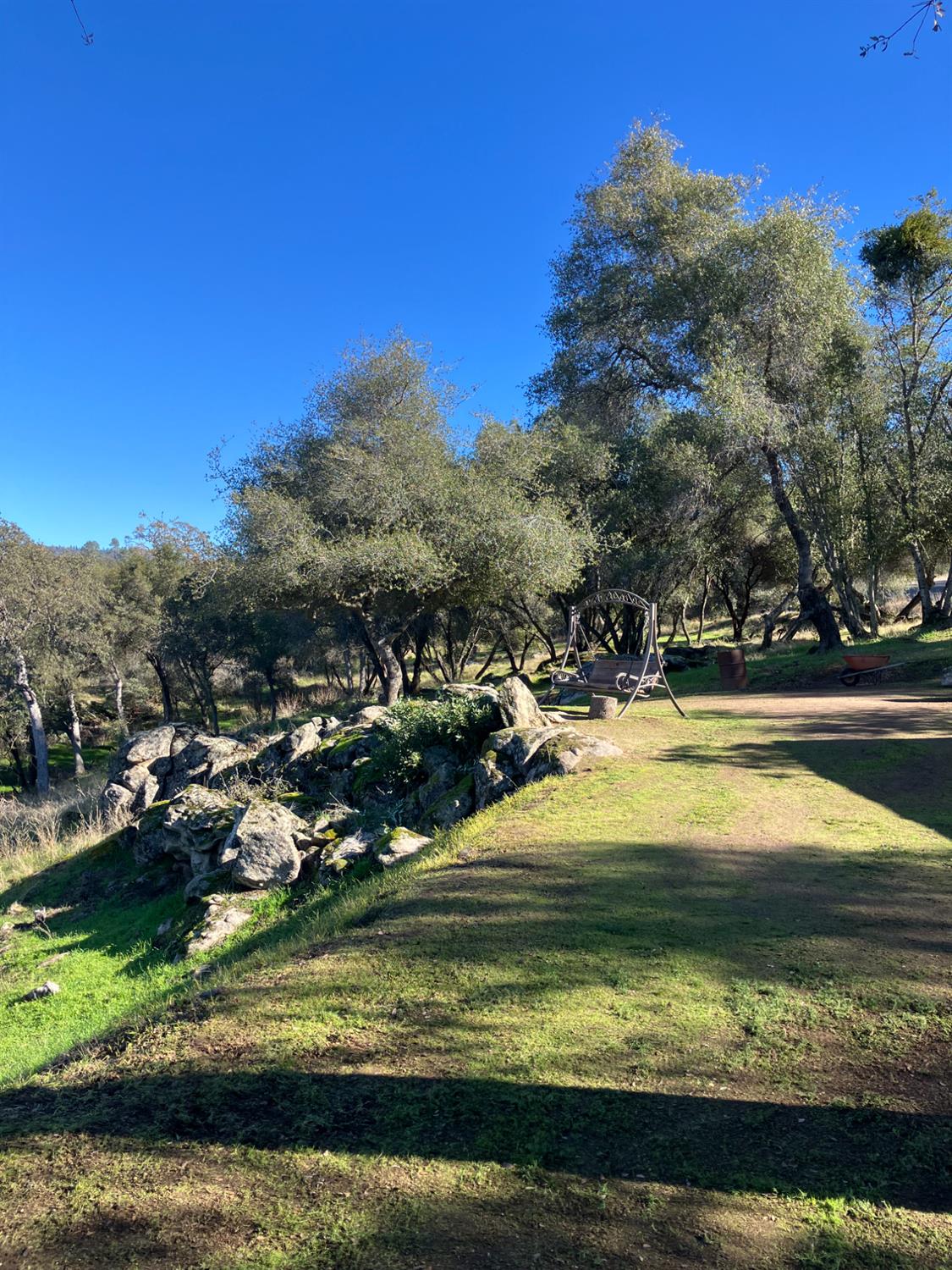 46725 Picayune Creek Road Coarsegold, CA 93614 - Photo 47 of 49 a view of swimming pool with a yard