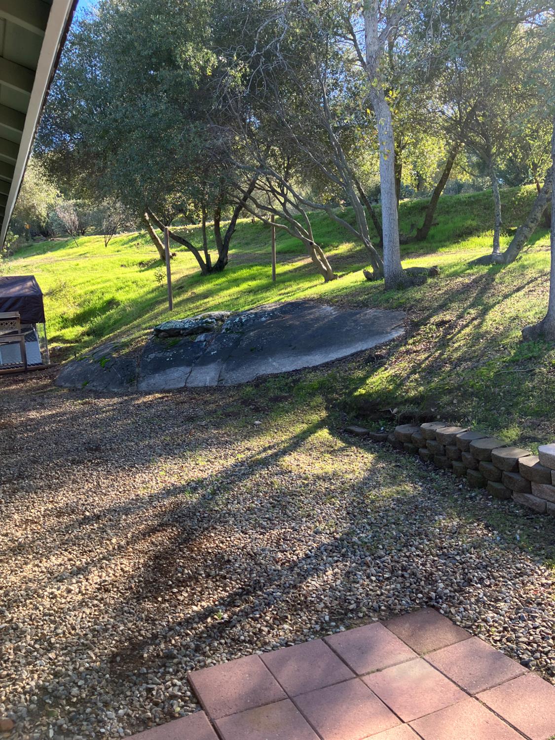 46725 Picayune Creek Road Coarsegold, CA 93614 - Photo 48 of 49 a view of a yard with a tree