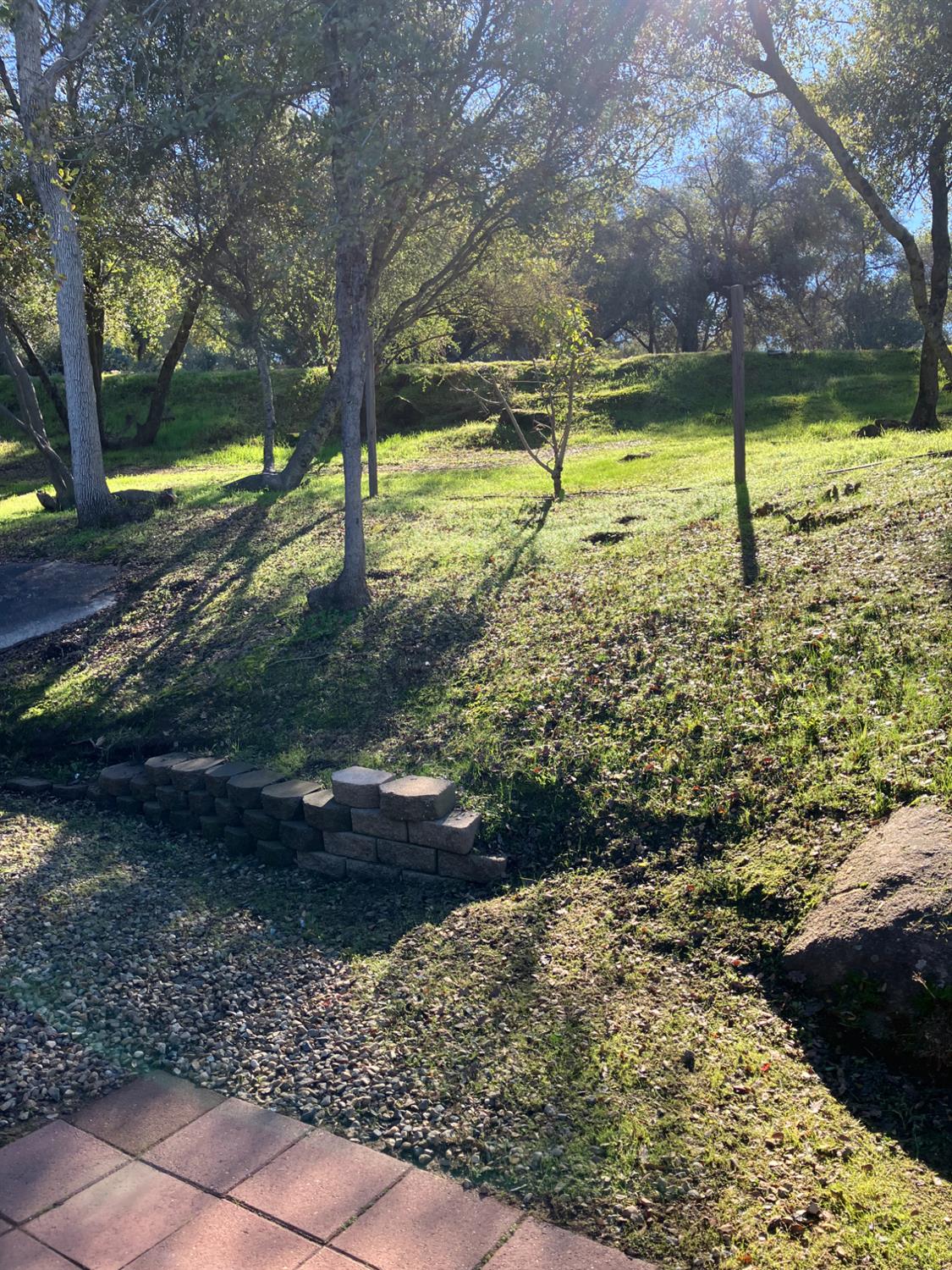46725 Picayune Creek Road Coarsegold, CA 93614 - Photo 49 of 49 a view of a yard with a slide