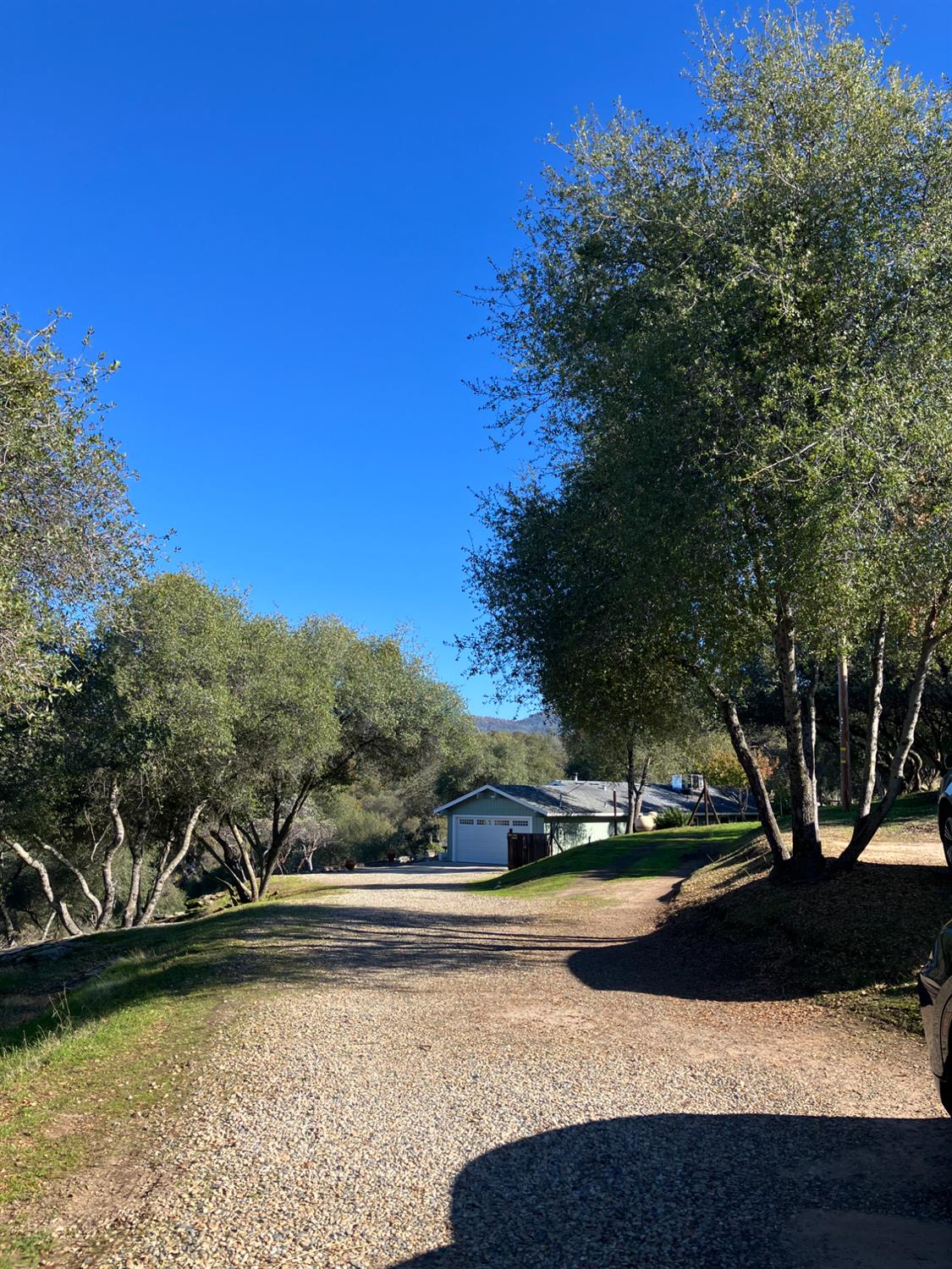 46725 Picayune Creek Road Coarsegold, CA 93614 - Photo 6 of 49 a view of a yard with an outdoor space