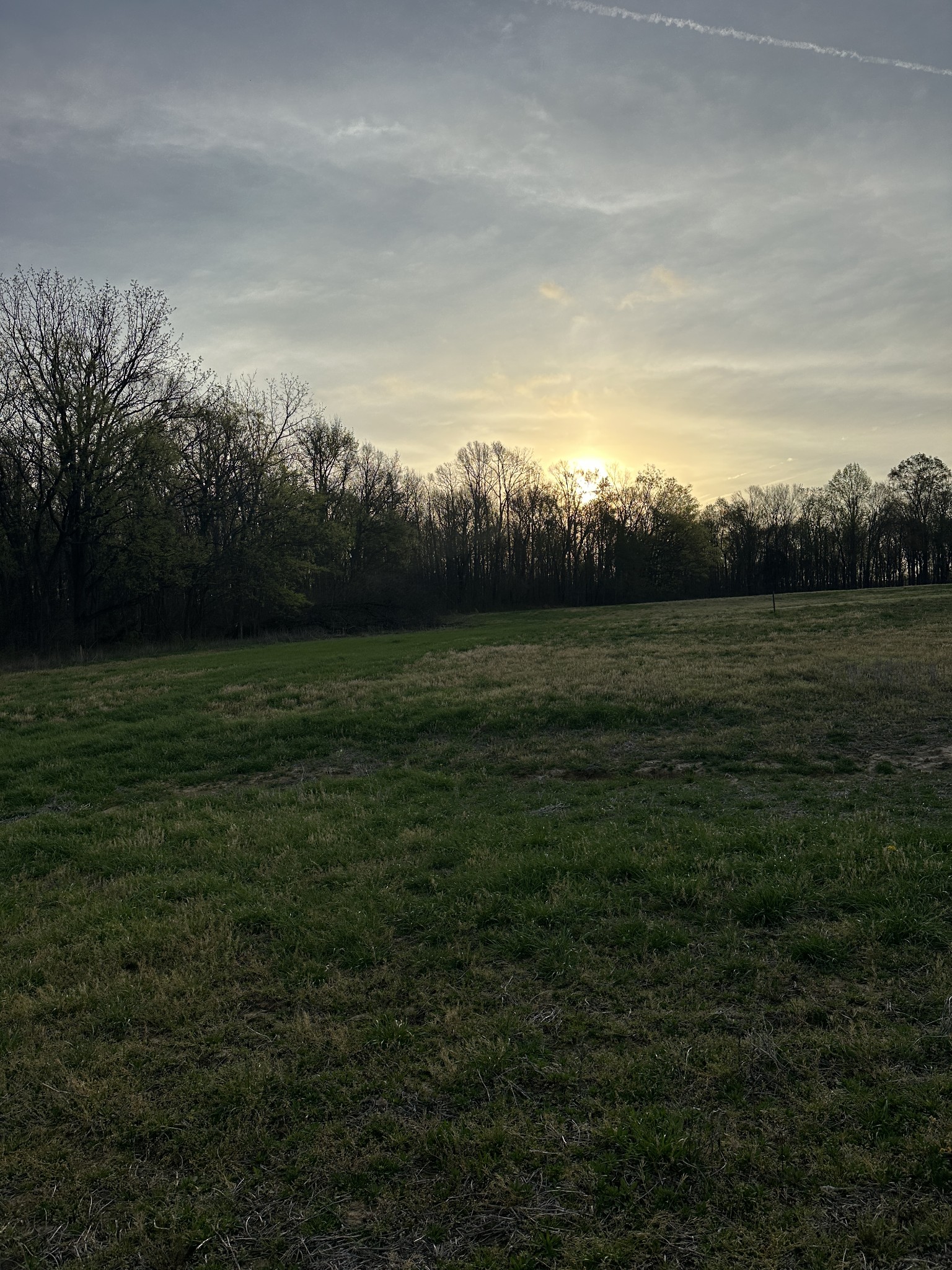2161 Highway 259 Portland, TN 37148 - Photo 18 of 23 a view of outdoor space and yard