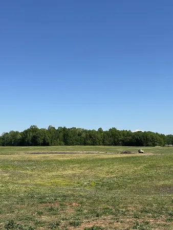 a view of a lake from a yard