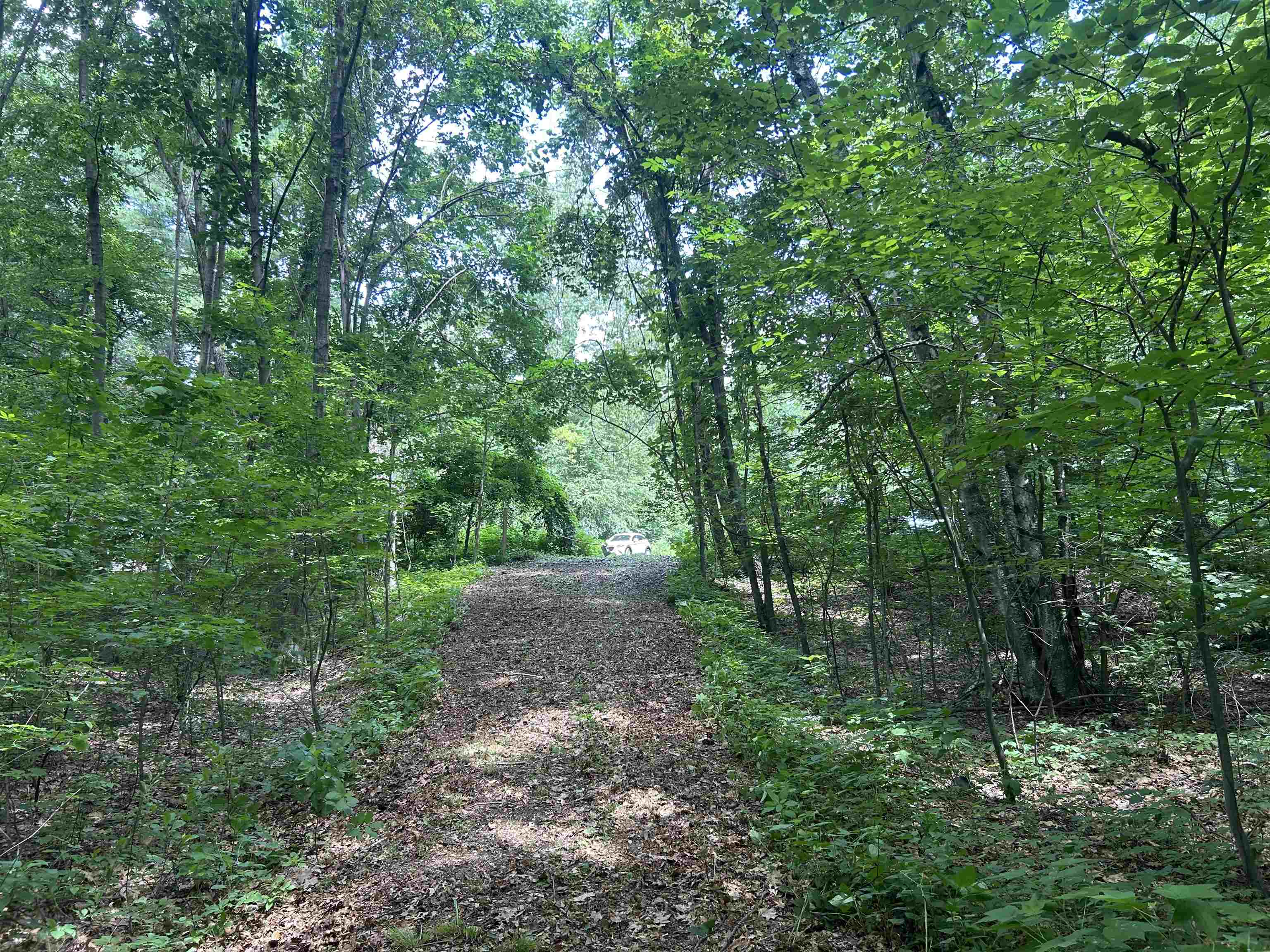 244 Mountain Road Chesterfield, NH 03466 - Photo 5 of 11