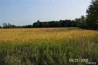 2205 Wales Center Road Goodells, MI 48027 - Photo 1 of 1 1