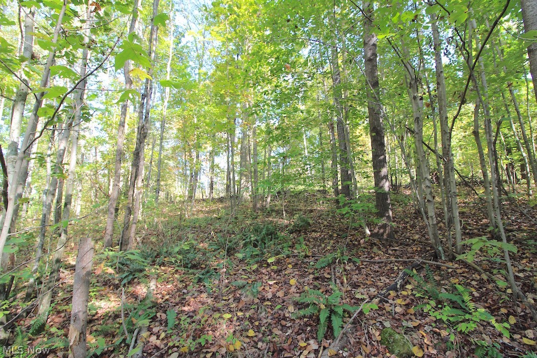 Horseshoe Bend Road Newcomerstown, OH 43832 - Photo 19 of 23 Gallery Image 19