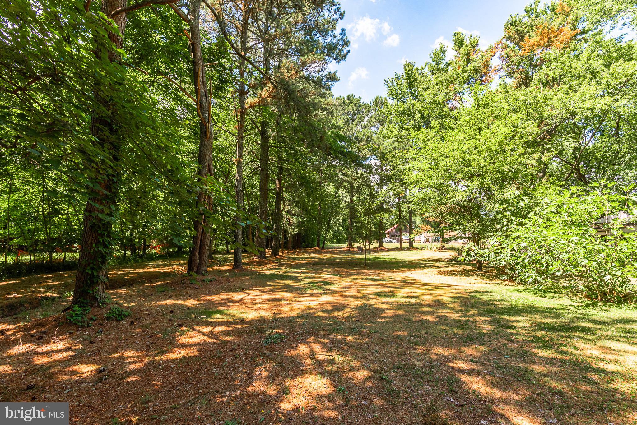 9753 Timmonstown Road Berlin, MD 21811 - Photo 10 of 42