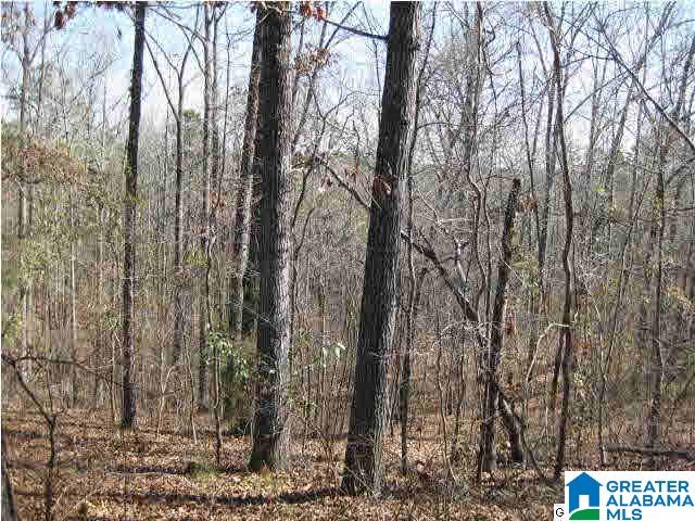 7525 Highway 13 Helena Al Helena, AL 35080 - Photo 1 of 6