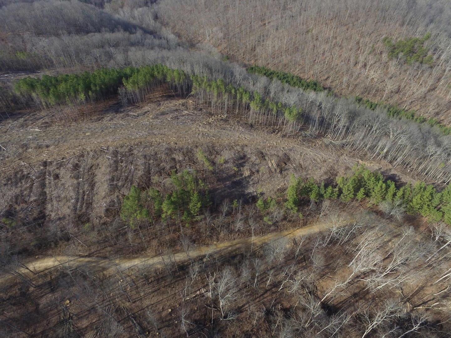 0 Doles Road Ray, OH 45672 - Photo 18 of 41