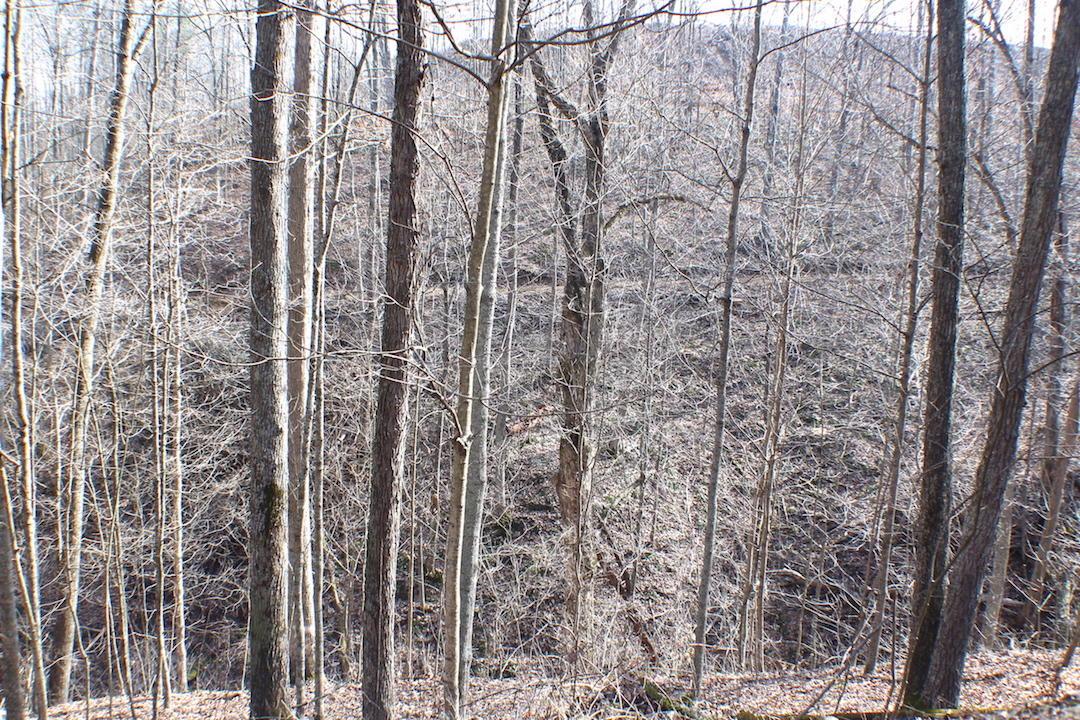 0 Doles Road Ray, OH 45672 - Photo 30 of 41