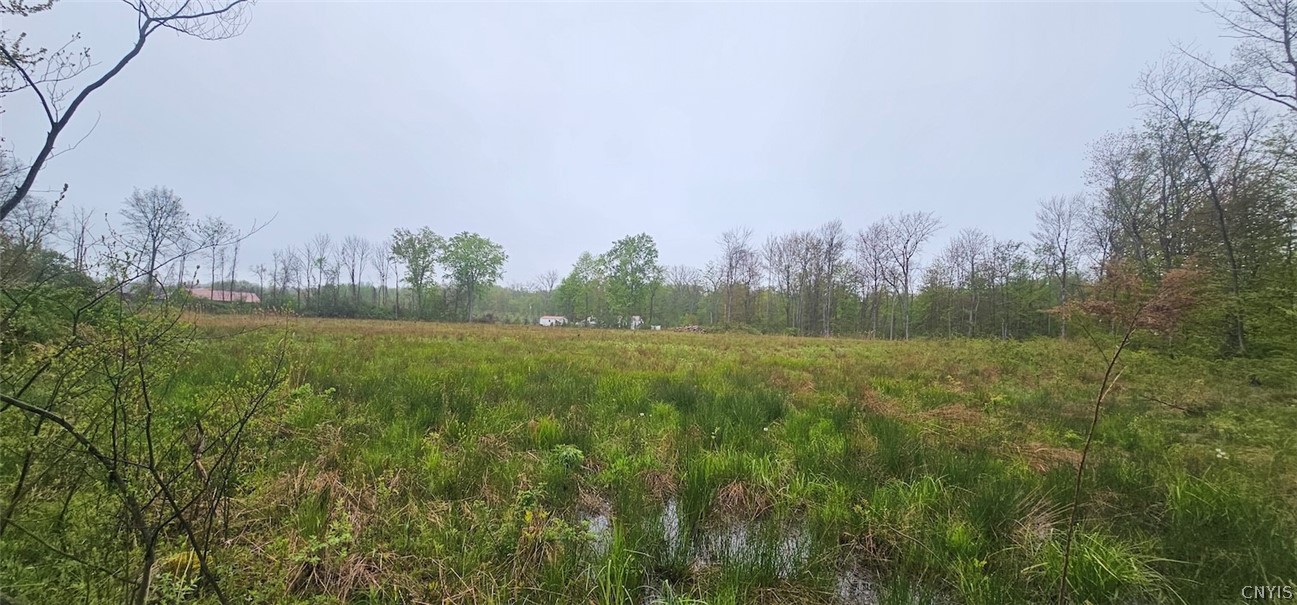 Rotterdam Road Sodus, NY 14551 - Photo 8 of 25