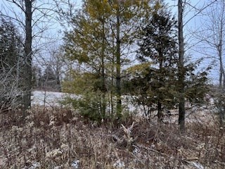 Tbd Lakeview Drive Kewaunee, WI 54216 - Photo 8 of 12