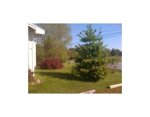 362 Kelleytown Road Bernard, ME 04612 - Photo 20 of 23 Yard/Garden. Front yard.