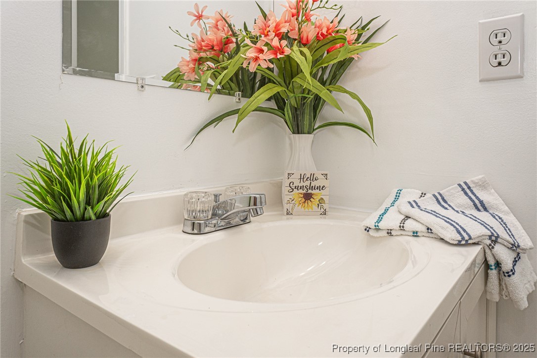 6576 Applewhite Road Fayetteville, NC 28304 - Photo 27 of 35 a close view of sink with a potted plant on the counter