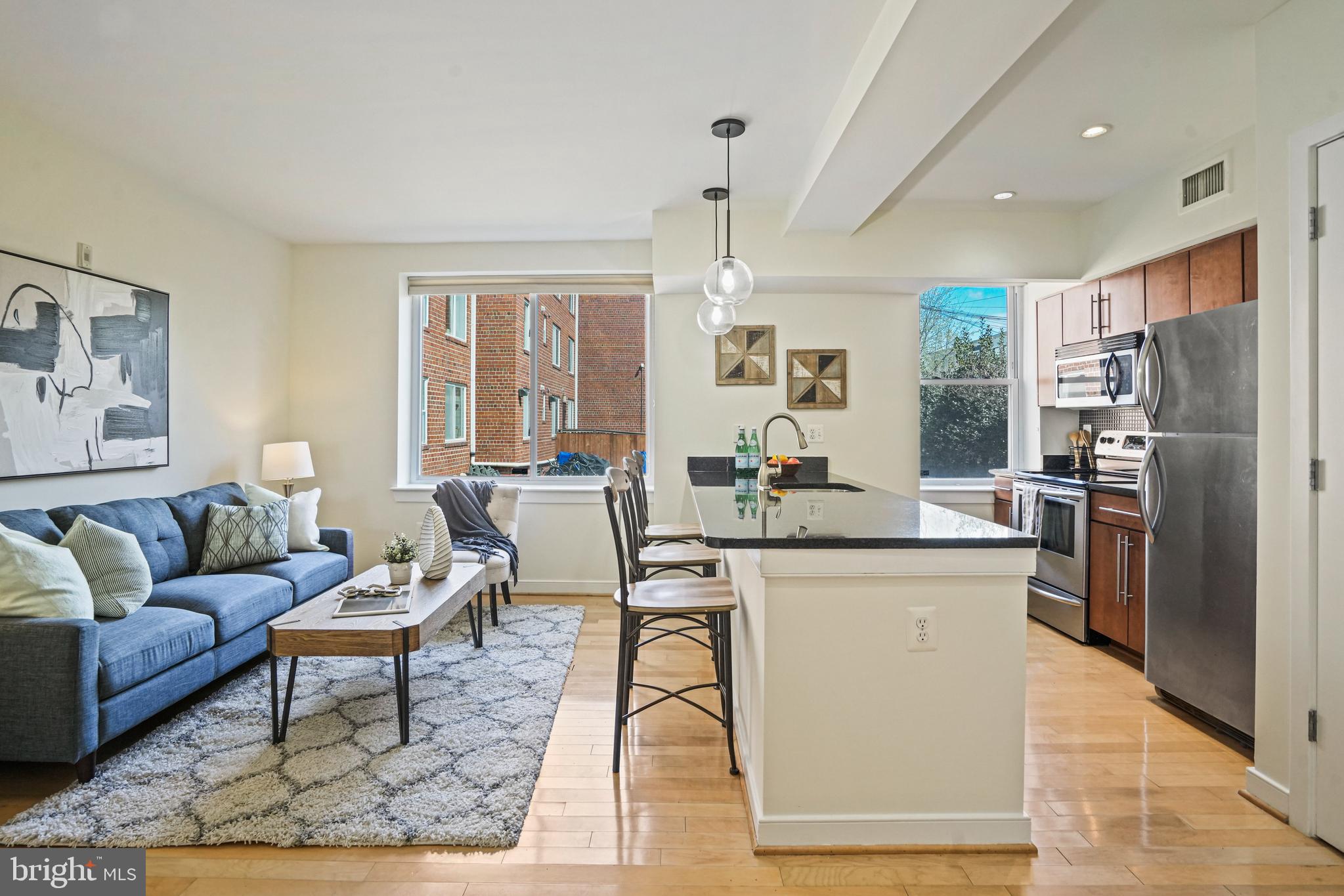420 16th Street Southeast, Unit 103 Washington, DC 20003 - Photo 4 of 16 a living room with stainless steel appliances kitchen island granite countertop furniture and a large window