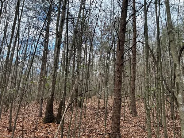 $23,990 | Lot 9 Fisher Valley Road, Dobson, NC 27017