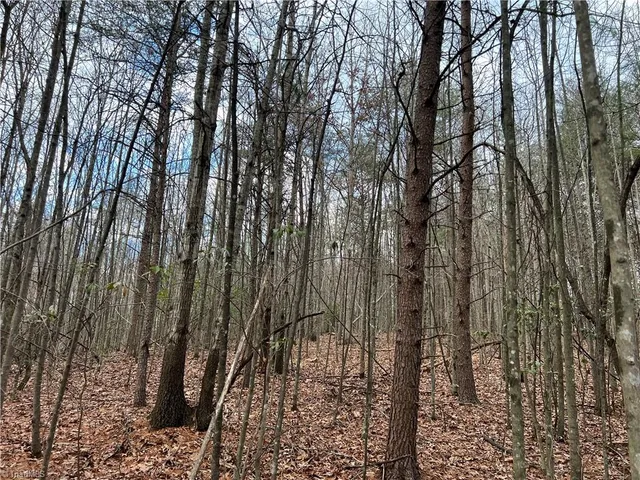 $23,990 | Lot 9 Fisher Valley Road, Dobson, NC 27017