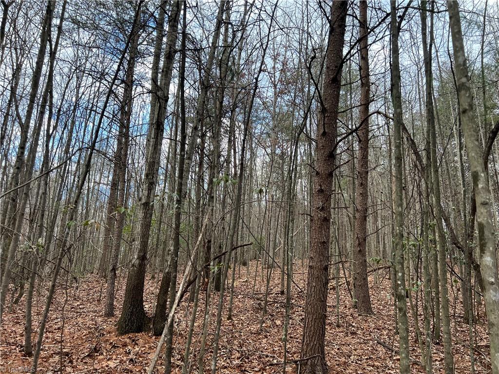 Lot 9 Fisher Valley Road Dobson, NC 27017 - Photo 2 of 5