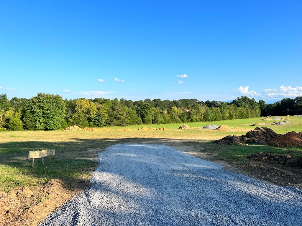 314 Harrison Ferry Road White Pine, TN 37890 - Photo 4 of 12 Gallery Image 4