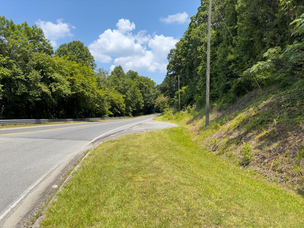 0 Chattanooga Road Dalton, GA 30720 - Photo 5 of 6 125235_6