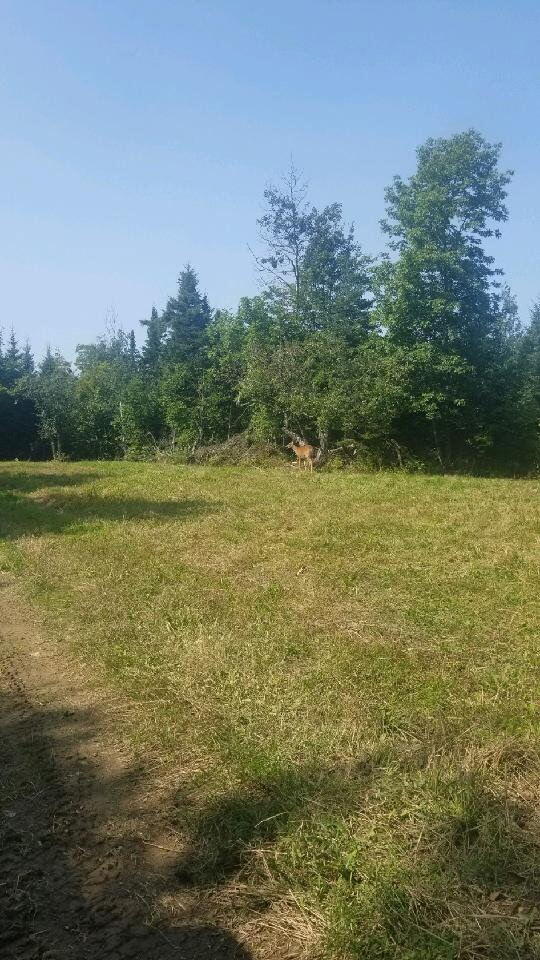862 Hemore Road Houlton, ME 04730 - Photo 31 of 33