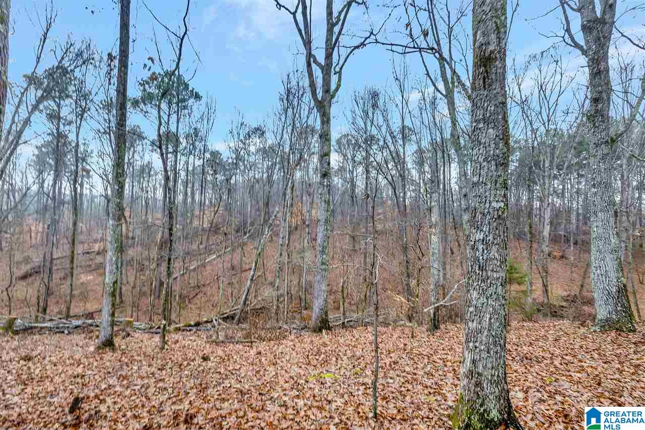 89 Walden Road Columbiana, AL 35051 - Photo 41 of 41