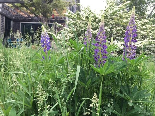 152 Windy Row Peterborough, NH 03458 - Photo 53 of 59