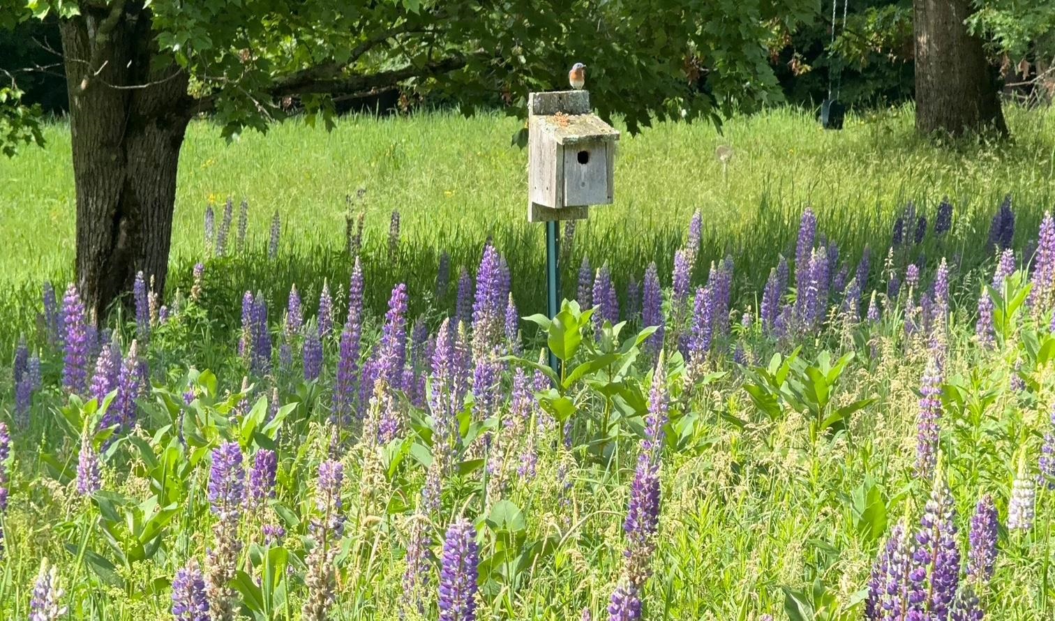 152 Windy Row Peterborough, NH 03458 - Photo 59 of 59