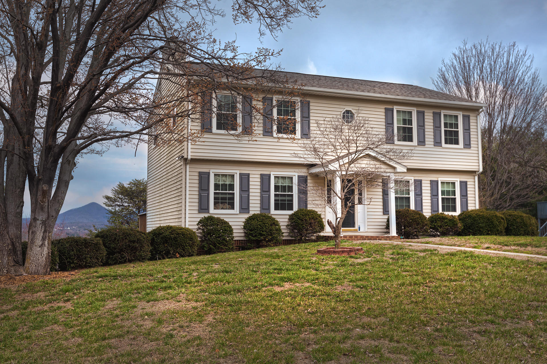 401 Stayman Road Roanoke, VA 24019 - Photo 2 of 31 Mature landscaping