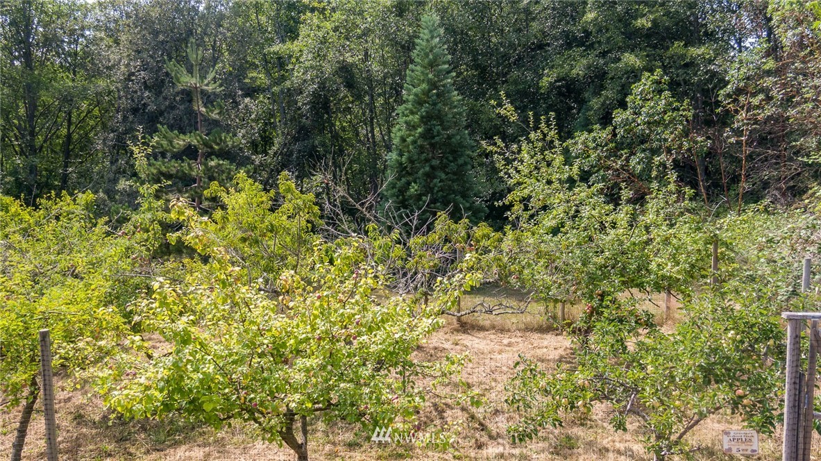 7329 Southwest Maury Park Road Vashon, WA 98070 - Photo 22 of 23 Gallery Image 22