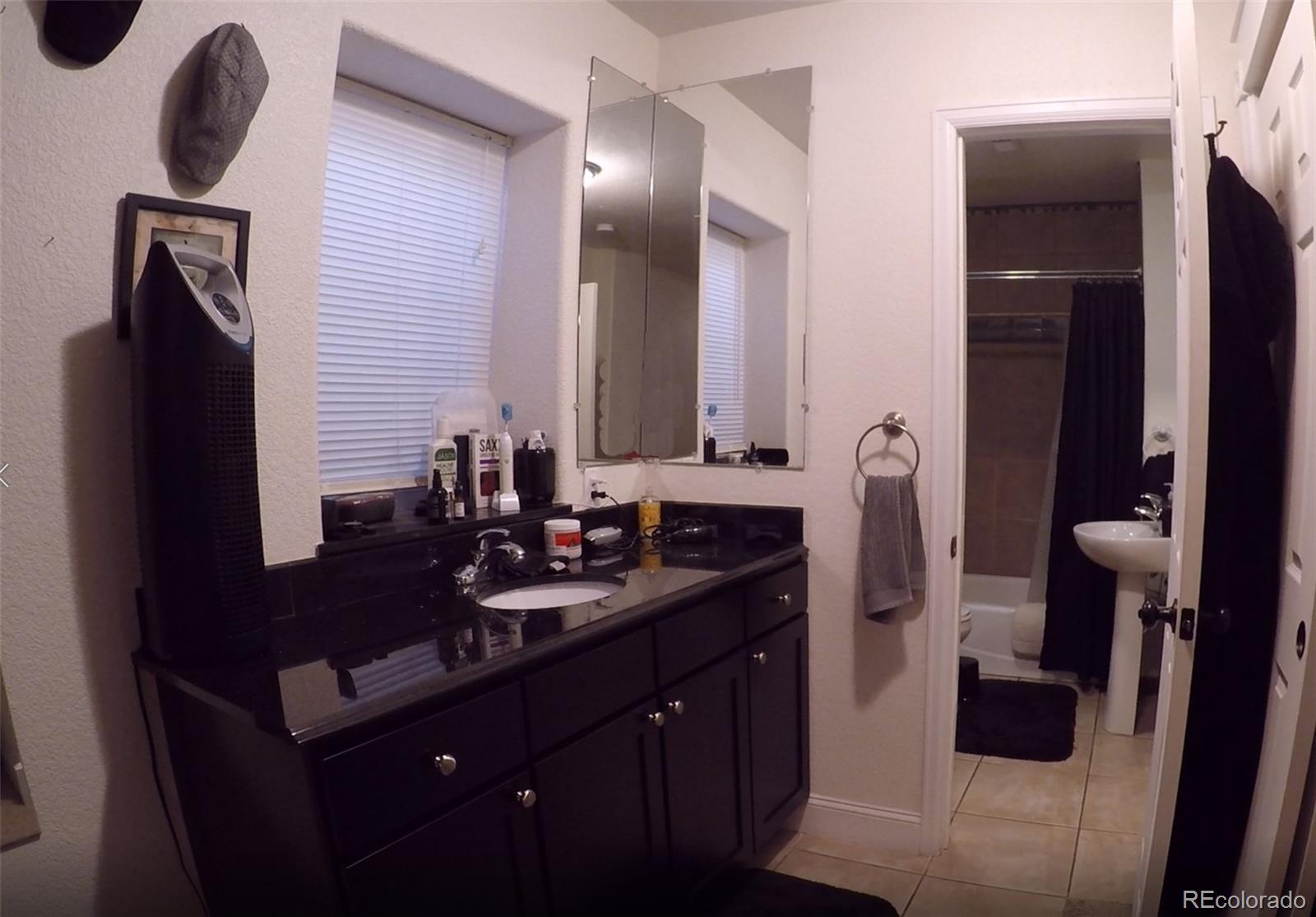 8148 Sweet Water Road Lone Tree, CO 80124 - Photo 12 of 13 a bathroom with a sink and a mirror