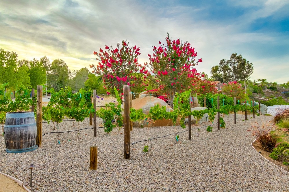 14002 Lake Poway Road Poway, CA 92064 - Photo 23 of 25