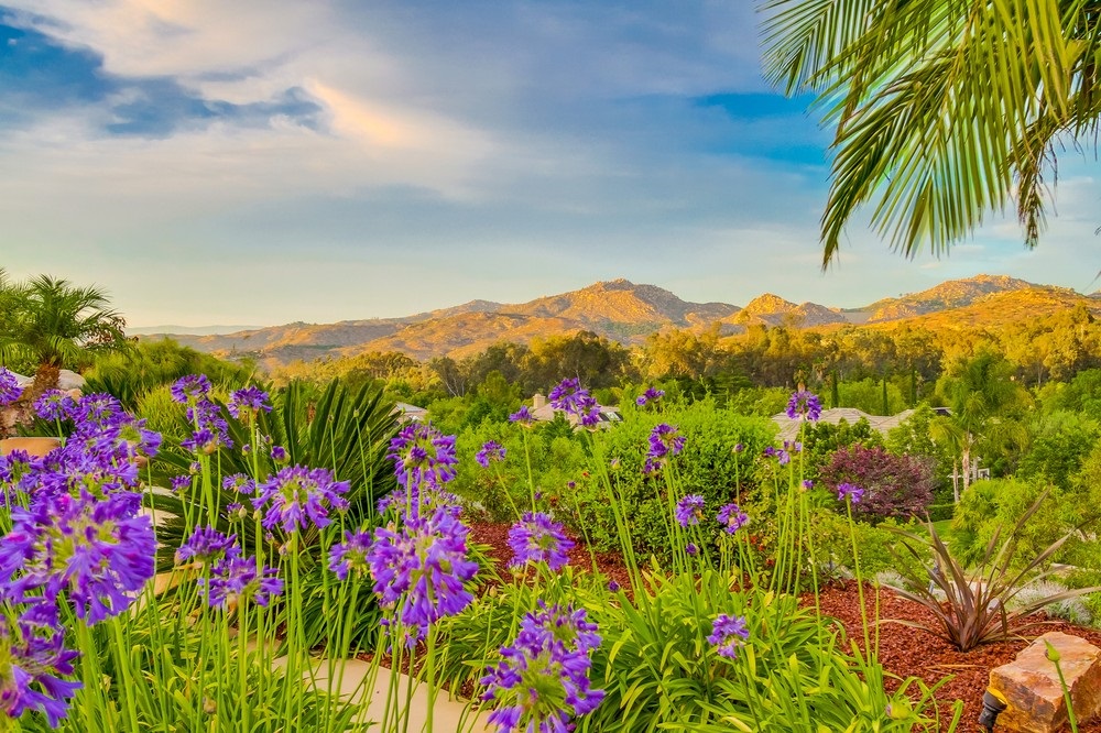 14002 Lake Poway Road Poway, CA 92064 - Photo 25 of 25