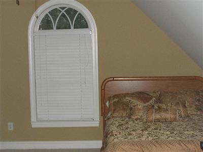 1645 Hobbs Road Roseboro, NC 28382 - Photo 13 of 16 Additional Photo