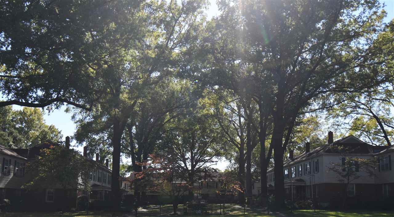 3007 Walnut Grove Road, Unit 2 Memphis, TN 38111 - Photo 18 of 18 Gallery Image 18